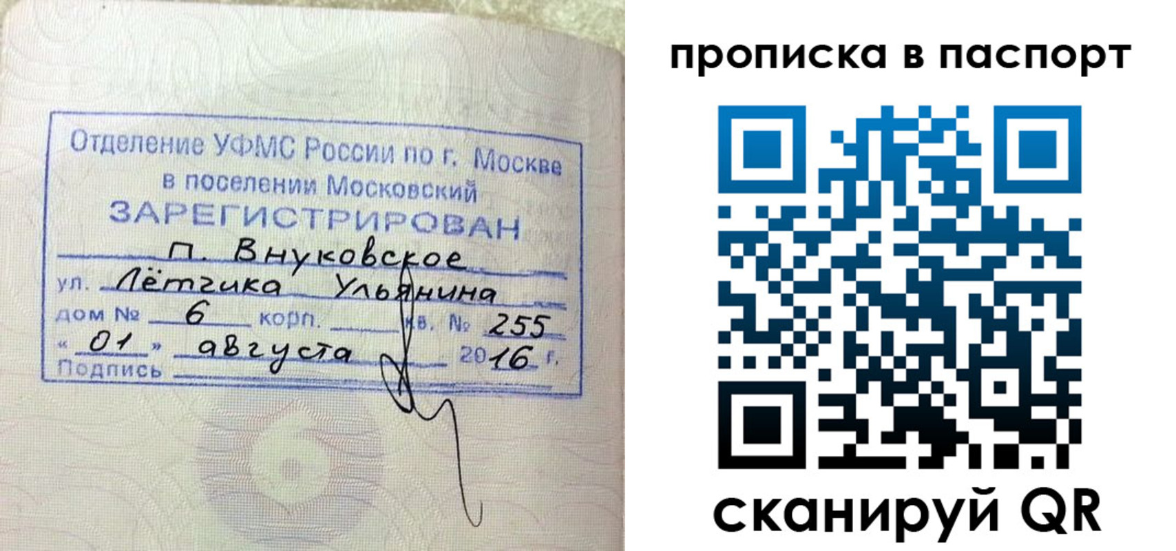 временная прописка в Пионерском