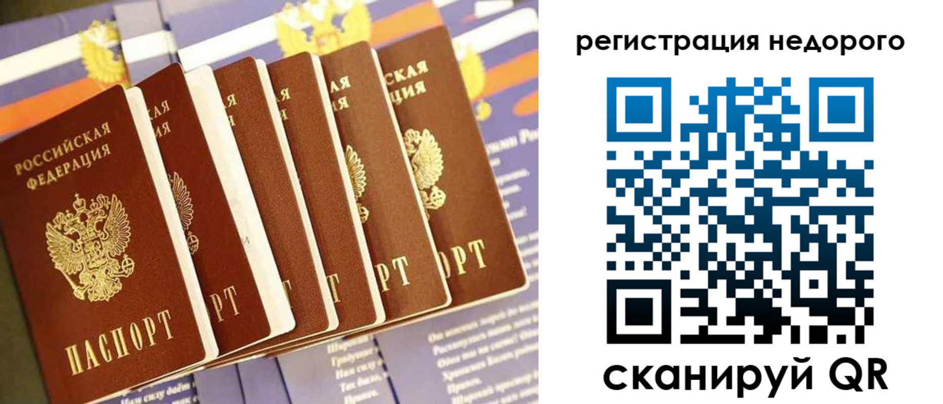 прописка в квартире в Пионерском